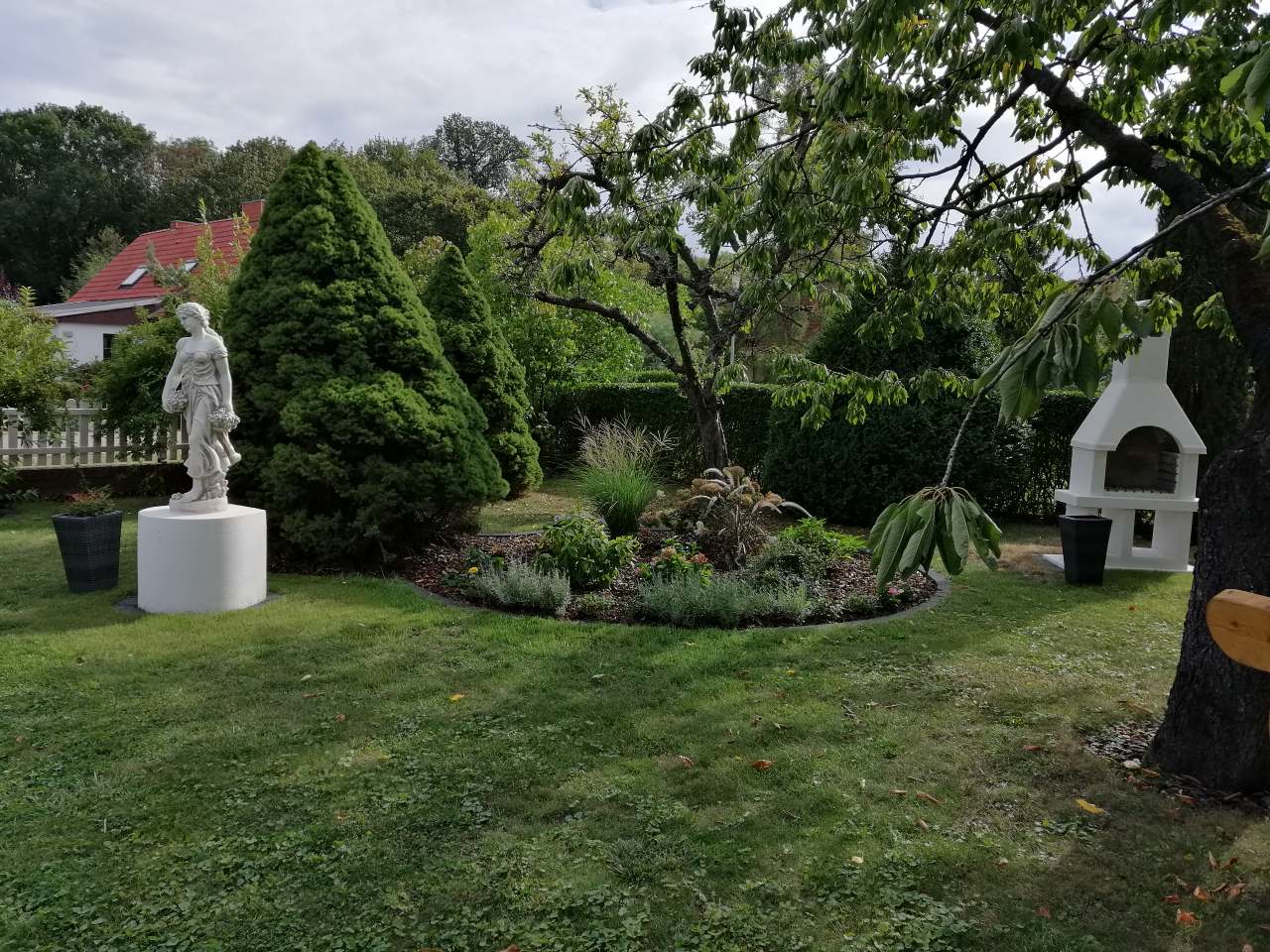 Blick in den Garten