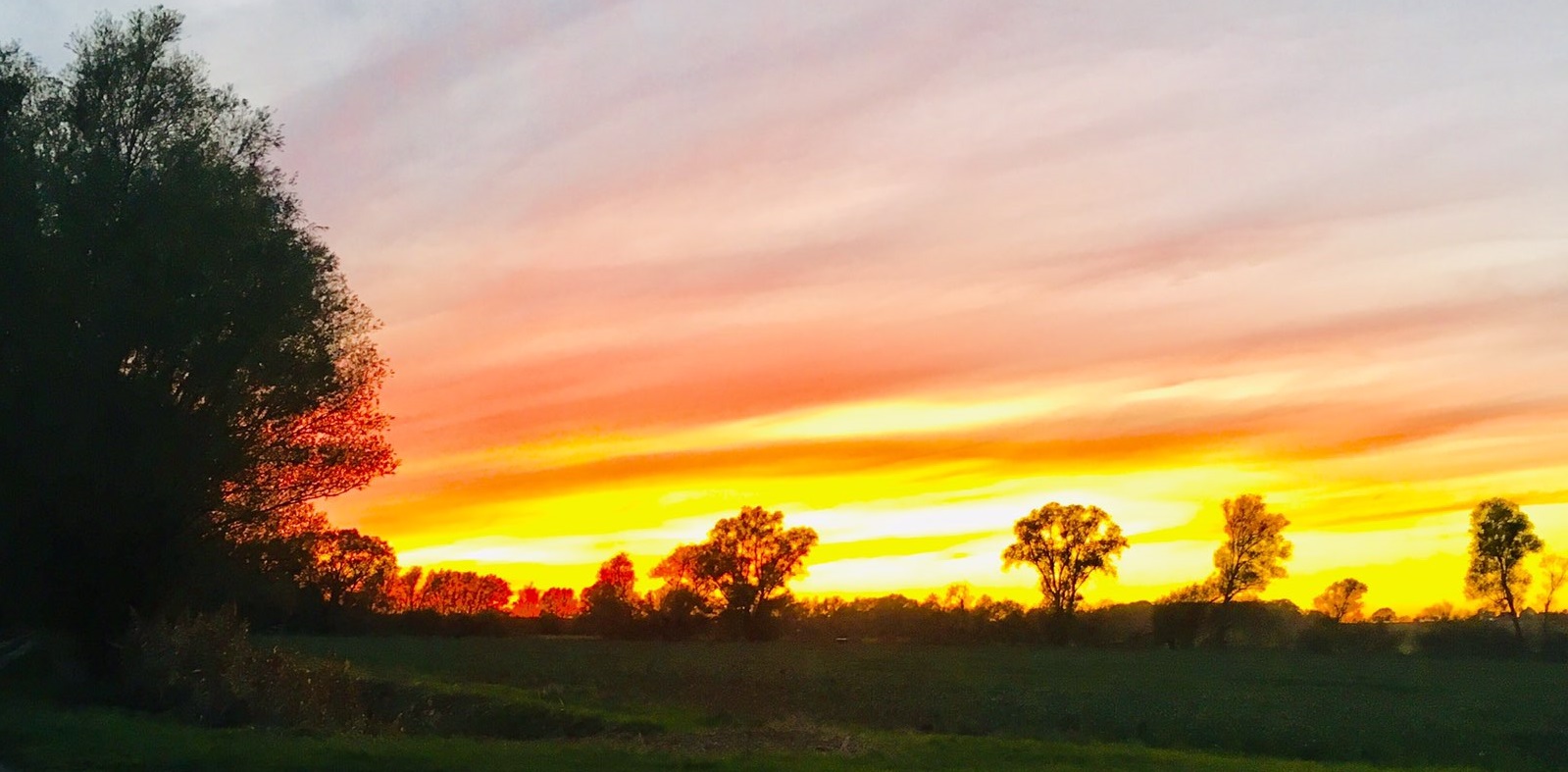 Sonnenuntergang im Luch